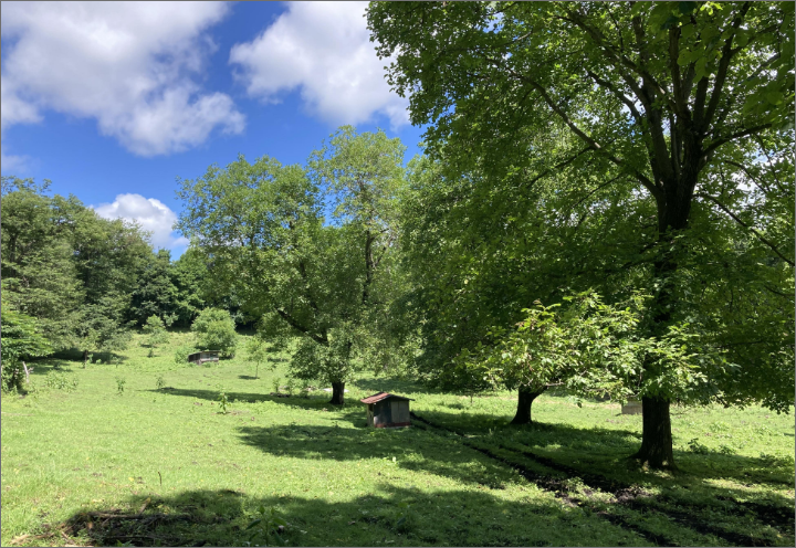 九戸村の風景